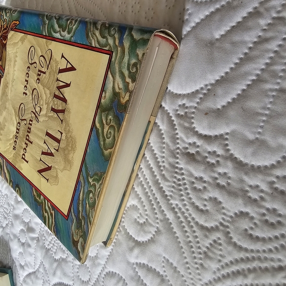 The Hundred Secret Senses Book by Amy Tan, Hard Cover, Vintage Edition - Picture 7 of 8